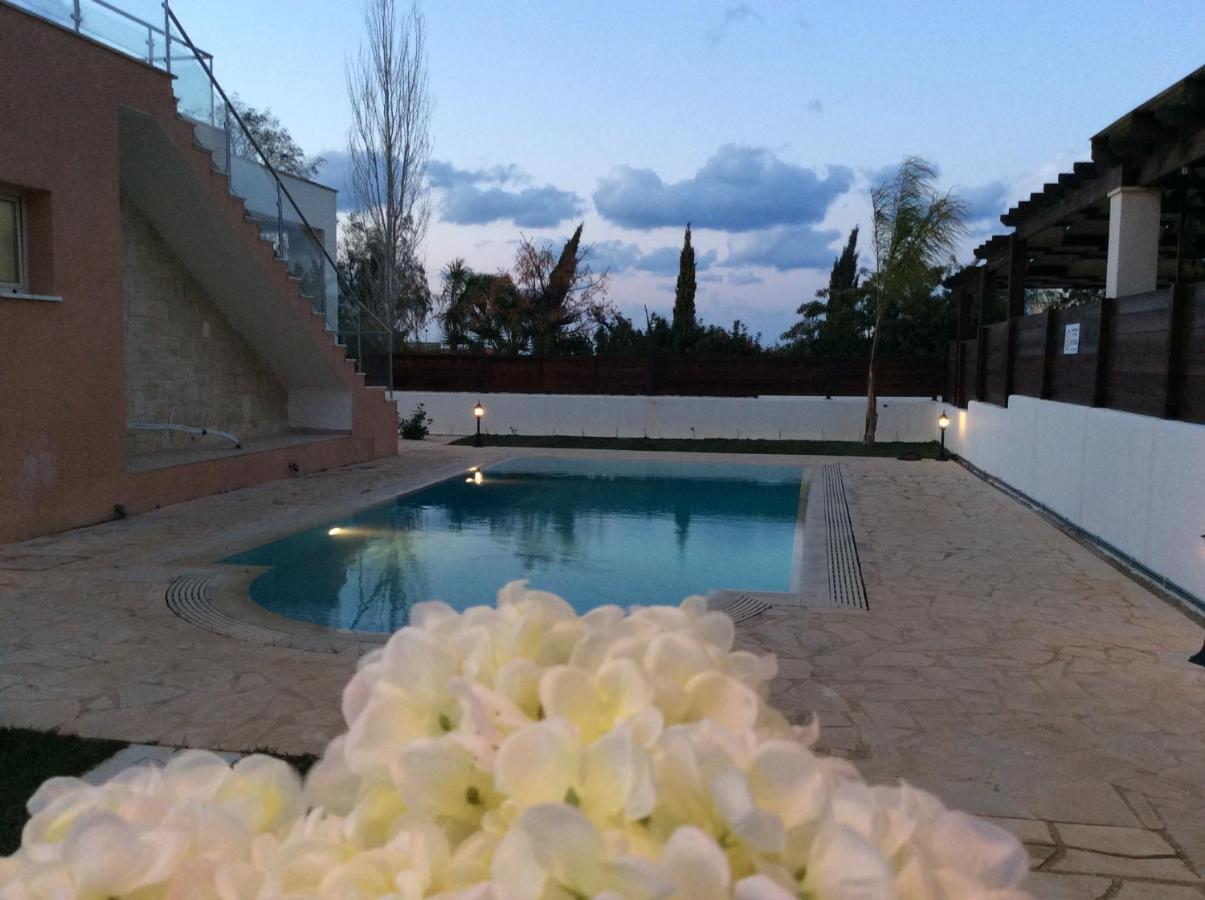 Dream House Latchi Villa 폴리스 외부 사진